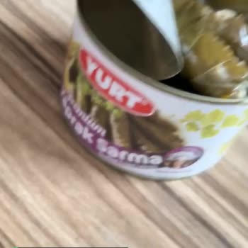 Yurt Sarmadan Böcek Çıktı!