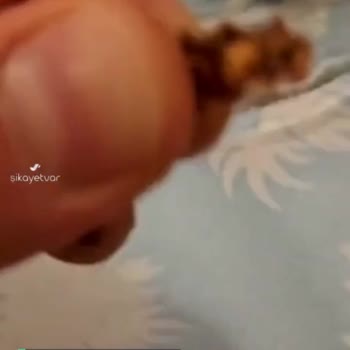 Mimaroba Seyran Pastanesi'nden Alınan Pastadan Tahta Parçaları Çıktı!