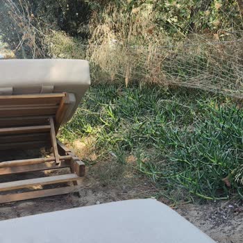 Tur Satışındaki Yanıltıcı Bilgiler Ve Thassos Plajı Hayal Kırıklığı