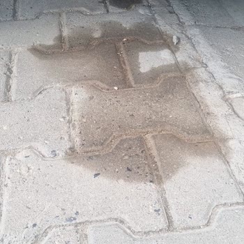 Üç Aylık Motorun Yağ Kaçağı Garantide Çözülmedi