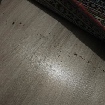 Dreame X40 Ultra Sürekli Çöp Ve Kir Bırakıyor, Hızlı Çözüm Talebi