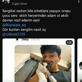YouTube Kanalındaki Sistematik Hakaret, Küfür Ve İftira Şikayeti