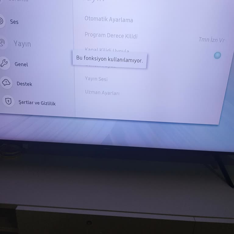 Samsung Yayın Ayarları Menüsü Pasif Olduğu İçin Televizyon Çalışmıyor