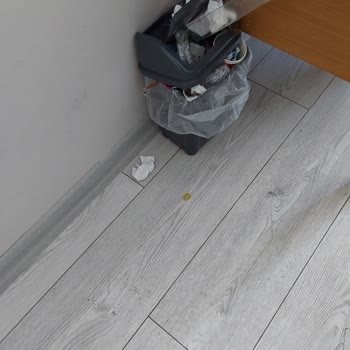 Club Sun Paradise Otelinde Hijyen Ve Hizmet Aldatması, Ücret İadesi Talebi