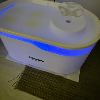 Xenon Smart Su Pınarında Tekrarlanan Sızıntı Ve Yorum Manipülasyonu