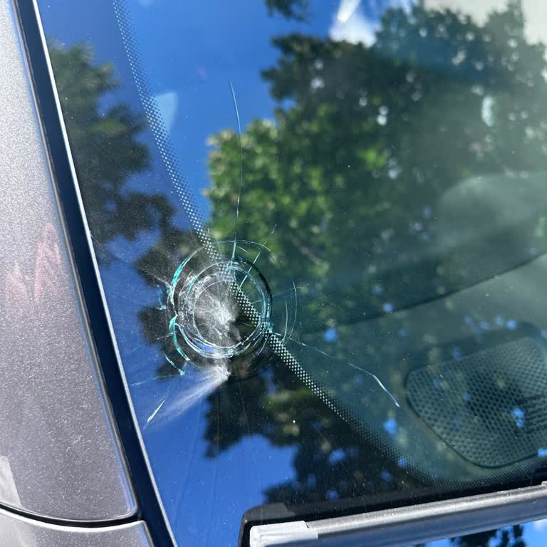 Doğa Sigorta Kasko Poliçemde Ön Cam Hasarının Teminat Dışı Bildirimi Ve Yanıtsız İletişim