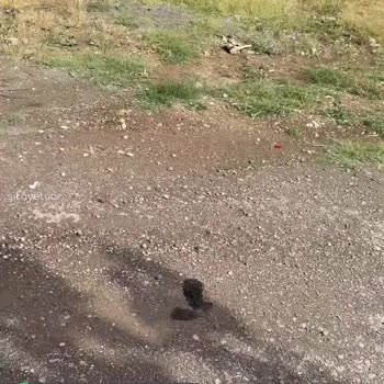 Sivas Belediyesi 2 Senedir Mağdur Etti!
