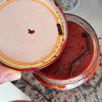 Kavanoz Domates Salçasında Yabancı Parçacık Ve Küflenme