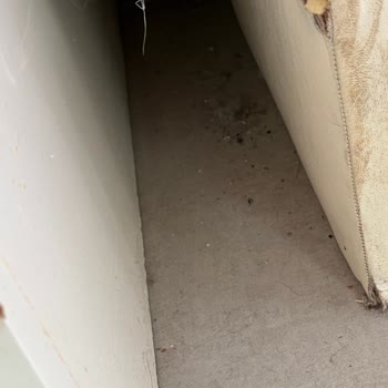 Giriş Gecikmesi Otelde Böcek Ve Hijyen Sorunları Ve Jolly Tur'ün İlgisizliği