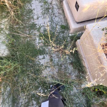 Karşıyaka Mezarlığında Kontrolsüz Araç Trafiği Ve Bakımsız Yollar Güvenliği Tehdit Ediyor