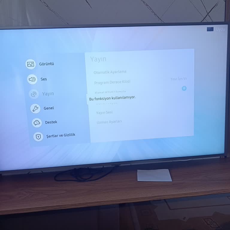 Samsung Televizyonumda Yayın Ayarları Pasif Ve Kanal Ayarı Yapılamıyor