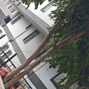 28 Gün Süren İnternet Kesintisi Ve Kablo Arızası Çözüm Tarihlerinin Sürekli Ertelenmesi