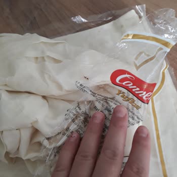 Connex Yufka’da Hamam Böceği Görülmesi Hijyen Ve Sağlık Riski