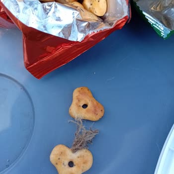 Eti Pizza Kraker'de Yabancı Madde Tespiti Ve Güven Sarsıntısı
