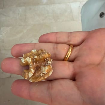 Kurtlanma Ve Böceklenme Sorunu Yaşadığımız Ürün Yeniden Bozuldu