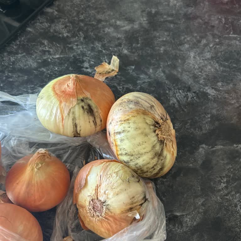 Migros Sanal Market’te Sürekli Bozuk Ürün Teslimatı Ve Kalite Kontrol İhmali