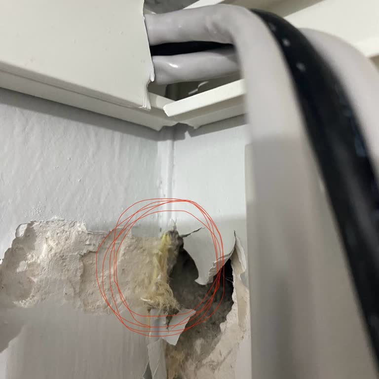 Fiber Kablo Hasarı Ve 5 Gün Süren İnternet Kesintisi