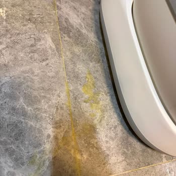 Xenon Akıllı Kedi Tuvaleti Sızdırma Sorunu Ve İade Reddi
