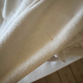 Hotel Bleu Nuit Oda Son Derece Bakımsız, Pislik İçinde