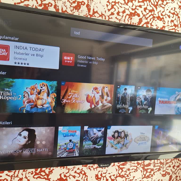 Sunny SN32DAL540 Televizyonda TOD Uygulaması Eksik, Hizmet Kullanılamıyor