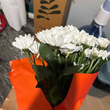 Sıkıştırılmış Ve Yırtılmış Paketleme Nedeniyle Ücret İadesi Talebi