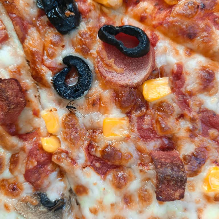 Little Caesars Çayırova’da Pizza Üzerinde Sinek Görüldü; Hijyen İhlali Ve Tam İade Talebi