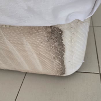 Temizlik Ve Hizmette Yetersizlik Otelde Memnuniyetsiz Konaklamaya Yol Açıyor