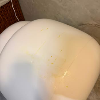 Ayıplı Kedi Tuvaleti Sızdırıyor, İade Talebim Reddedildi