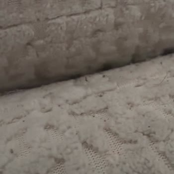 Vivense’in Pati Dostu Kumaş Sözleri Kedi Tırmalamasına Dayanmadı Ve Müşteri Hizmetleri Sorunlu