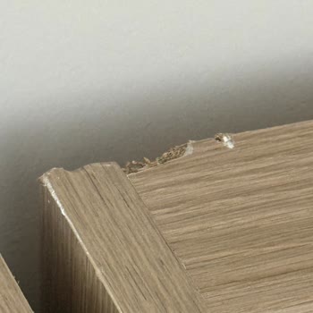 Eta Nakliyat’ın Zarar Verici Taşıma Hizmeti