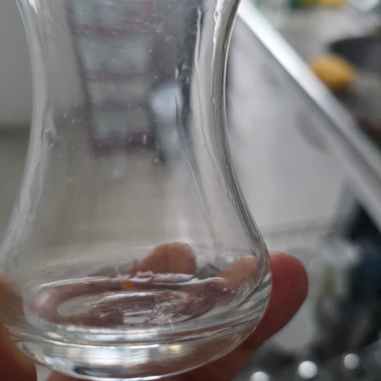 Samsung Bulaşık Makinesinde Tekrarlayan Temizleme Sorunu Ve Çözüm Talebi