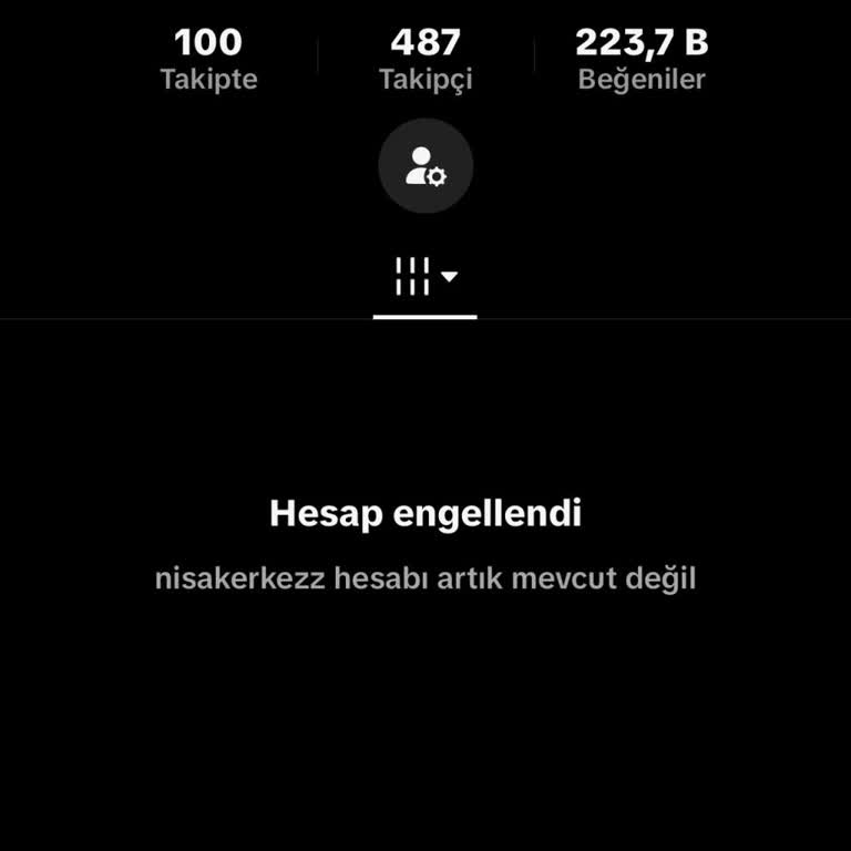 TikTok Hesabımın Haksız Kalıcı Engeli Ve Para Erişimi İçin Acil İnceleme