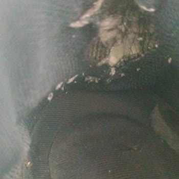 FLO Mağazasının 2 Yıl Garantili Ayakkabının Açılma Ve Yıpranma Şikayeti Reddedildi