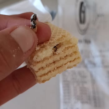 Torku Süt Kremalı Gofretten Çıkan Siyah Yabancı Madde Ve Güvenlik Endişesi