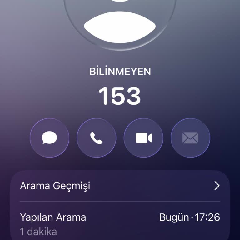 Yaralı Kedinin Acil Yardım Talebine Belediye Ekiplerinin Gecikmesi