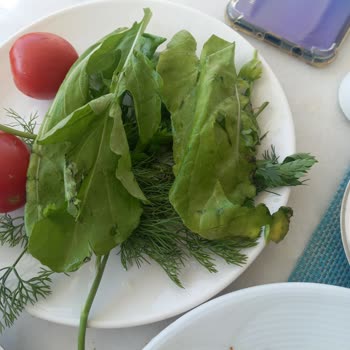 Temizlik Ve Yemek Kalitesi Sorunlarıyla Aile Tatili Kabusa Döndü
