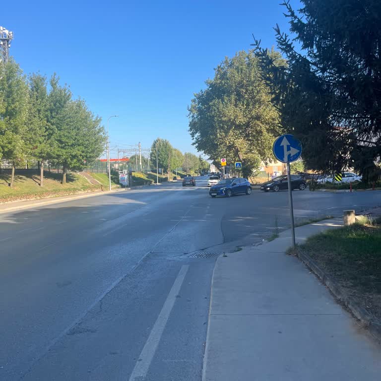 Hatboyu Caddesi'nde Hız Kesici Talebi: Yayalar Ve Çocuklar Güvenli Olmalı