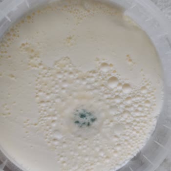 Küflü Kaymak Satışı Tüketici Güvenini Sarsıyor