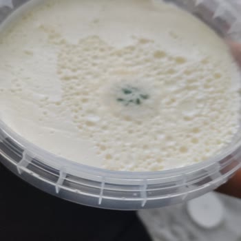 Küflü Kaymak Satışı Tüketici Güvenini Sarsıyor