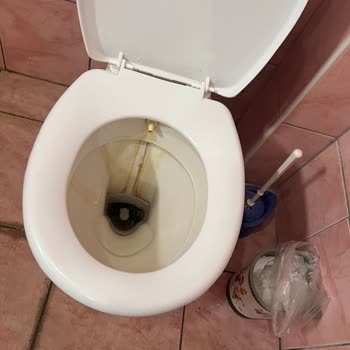 Aydın Palace Resort Villada Hijyen Ve Elektrik Sorunları Ve Reklam Yanıltması İade Talebi