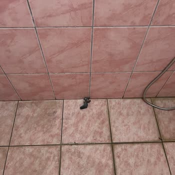 Aydın Palace Resort Villada Hijyen Ve Elektrik Sorunları Ve Reklam Yanıltması İade Talebi