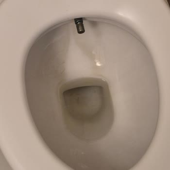 Hijyen Eksikliği Ve Kaba Personel Tutumu Nedeniyle Erken Çıkış Ve Yetersiz Ücret İadesi