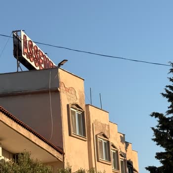 Jolly Tur'un Assembly Otelindeki Uygunsuz Konaklama Ve Cevapsız Müşteri Hizmetleri