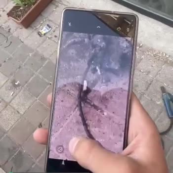 Tecno Mobile Kamera Sorunu!