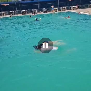 Kirli Havuz Ve Eksik Her Şey Dahil Hizmetten İade Talebi