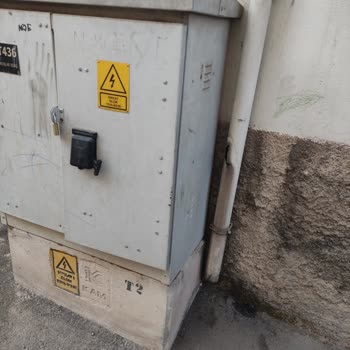 Açık Trafonun Altındaki Fare Sorunu Ve Sağlık Tehlikesi