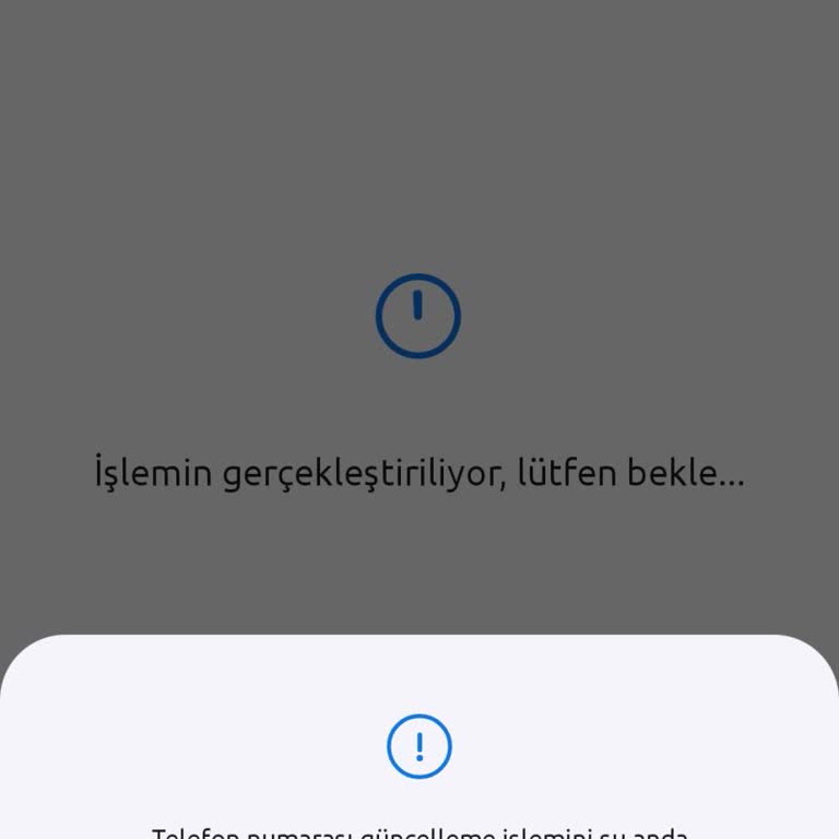 Telefon Numarası Güncelleme Sistemi N Kolay’da Çöktü