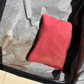 Bavullarım Uçağa Yüklenmedi, 4 Gün Gecikme Ve Bozulmuş Gıdalar