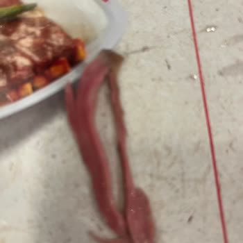 Fethiye Erasta AVM Baydöner’de Soğuk Ve Çiğ Et, İade Talebi