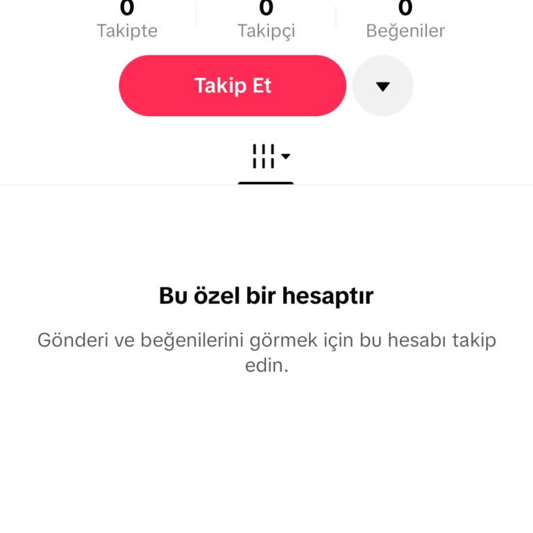 Türk Bayrağına Ve Şehitlere Küfür, Kişisel Verilere Tehdit Ve Cinsel İçerikli Mesajlar
